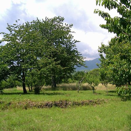 Cirasellaetna Villa SantʼAlfio Buitenkant foto
