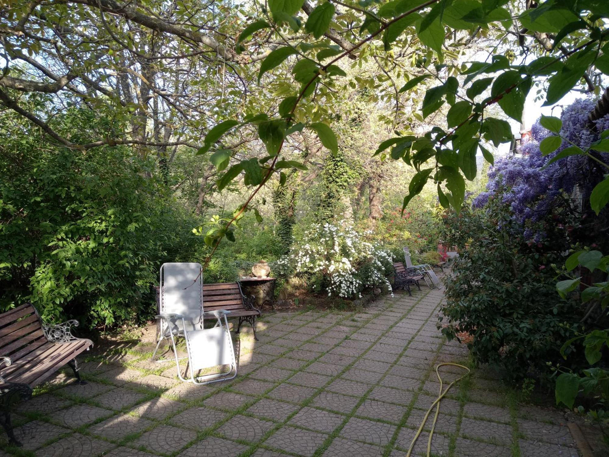 Cirasellaetna Villa SantʼAlfio Buitenkant foto