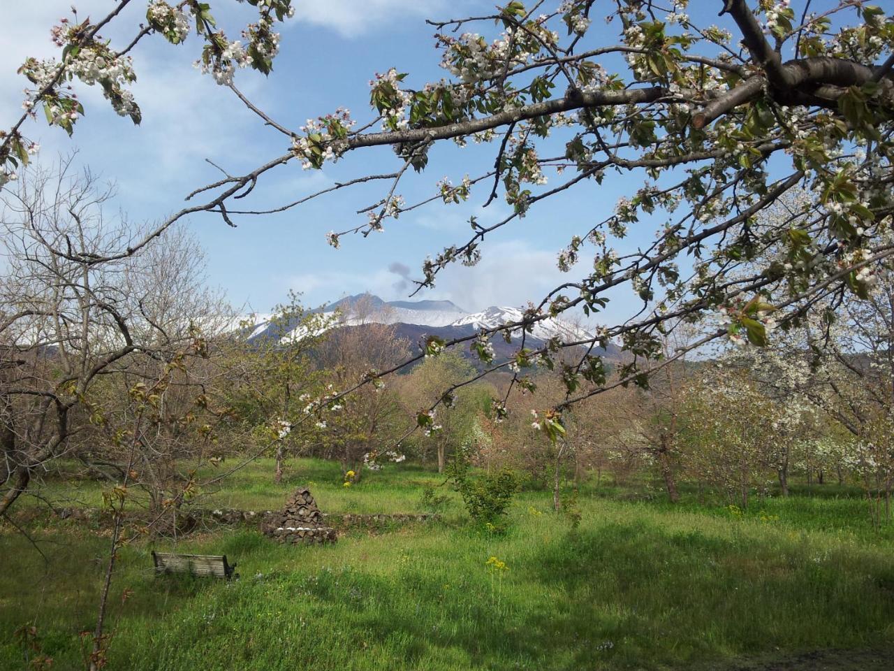 Cirasellaetna Villa SantʼAlfio Buitenkant foto